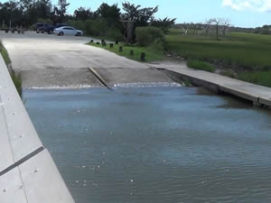 steamboat landing boat ramp edisto island charleston county sc